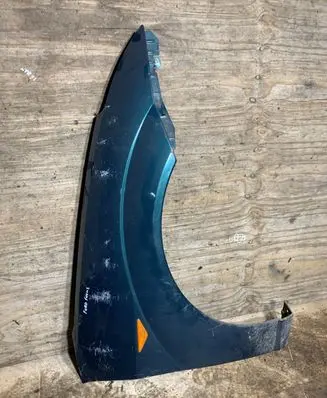 Ford Focus Fender