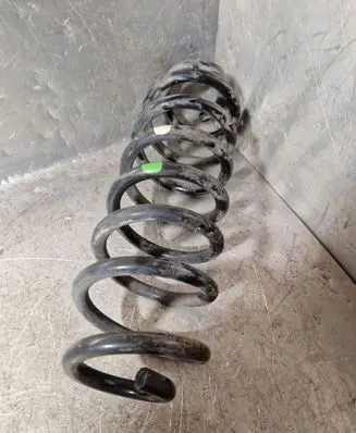 Rear coil spring