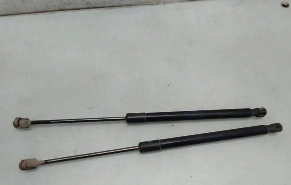 Tailgate/trunk strut/damper
