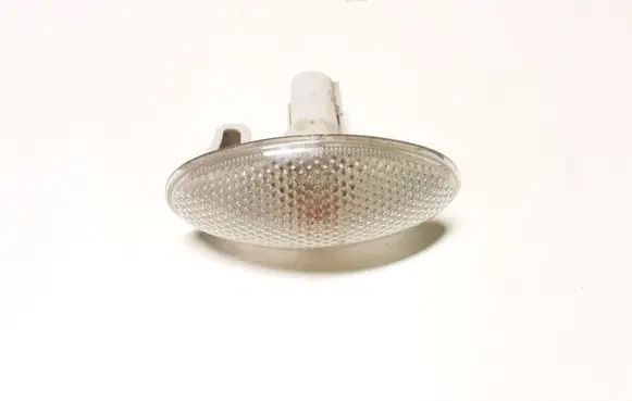 Front fender indicator light