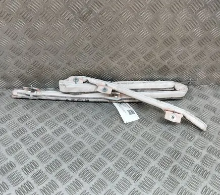 Jaguar I-Pace Roof airbag J9D314K159BB