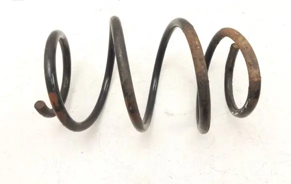 Front coil spring
