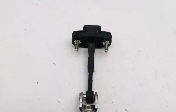 Ford C-MAX II Rear door check strap stopper