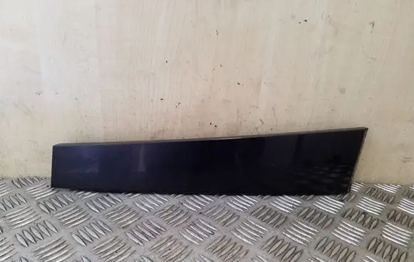 Other rear door trim element