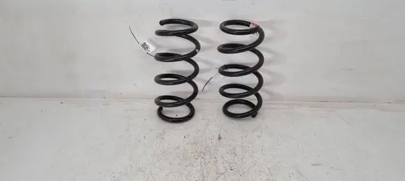Tesla Model 3 Rear coil spring 104447201E