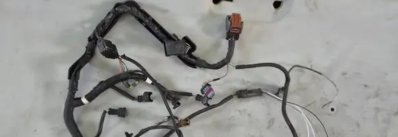Renault Clio II Wiring harness 8200346202