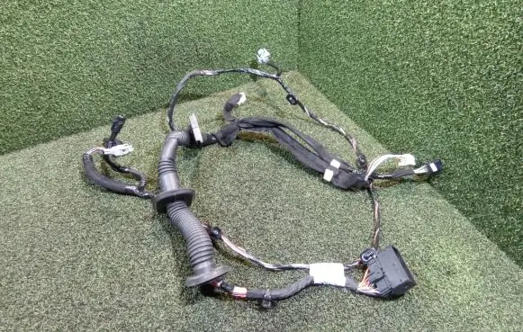 Front door wiring loom
