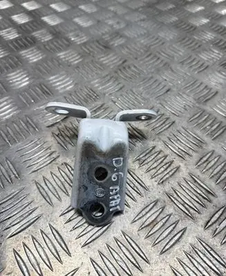 Hyundai Santa Fe Rear door lower hinge