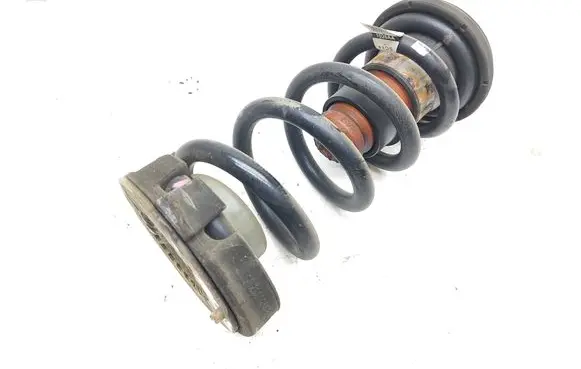 Rear coil spring