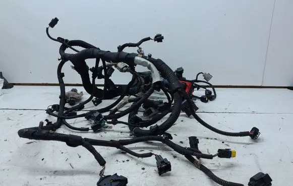 Engine installation wiring loom