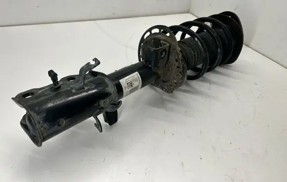 Ford Bronco Front shock absorber with coil spring LX6118K001JHD LX615310DNE LX613K155CNB