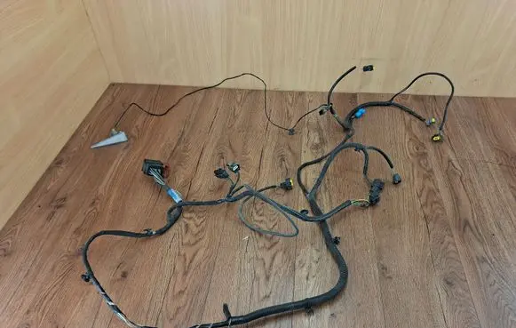 Renault Vel Satis Wiring harness 8200431278