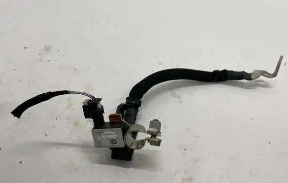 Negative earth cable (battery)