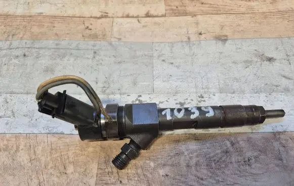 Renault Megane II Fuel injector 8200389369 0445110
