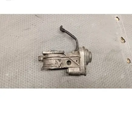 Volkswagen Touareg I Throttle valve 07Z128070G