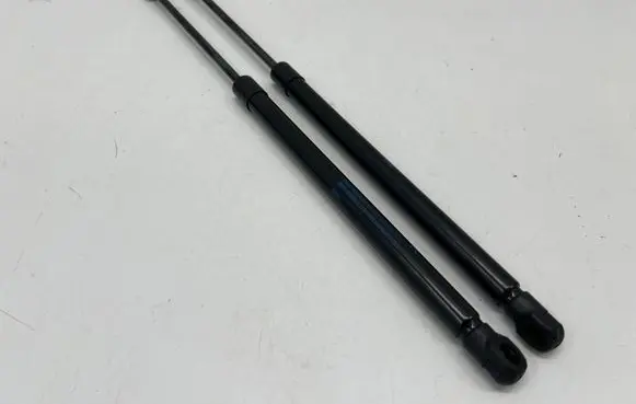 Tailgate/trunk strut/damper