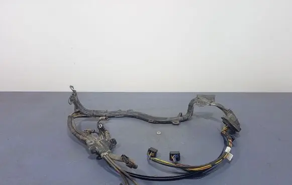 BMW X6 E71 Other wiring loom 7575579