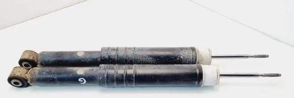 Renault Zoe Rear shock absorber/damper 562108289R