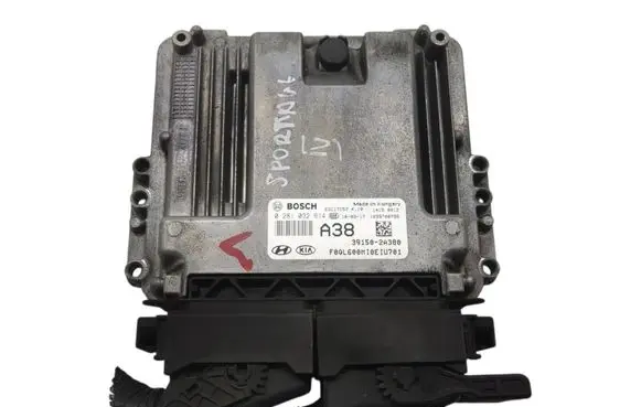Engine control unit/module ECU