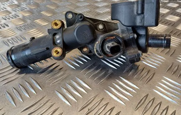 Thermostat/thermostat housing
