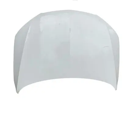 Seat Toledo IV (NH) Engine bonnet/hood