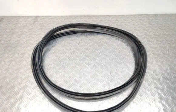 Trunk rubber seal (body)