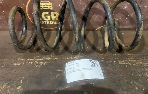 Ford Focus Front coil spring