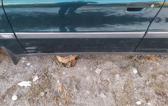 Volvo S80 Front door
