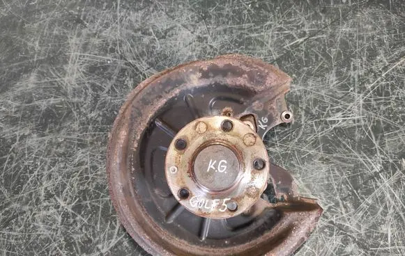 Volkswagen Golf V Rear wheel hub