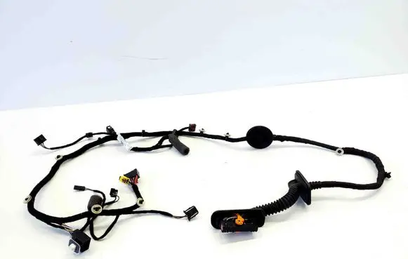Front door wiring loom