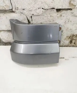 Rear/tail light trim molding