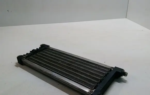 Electric cabin heater radiator