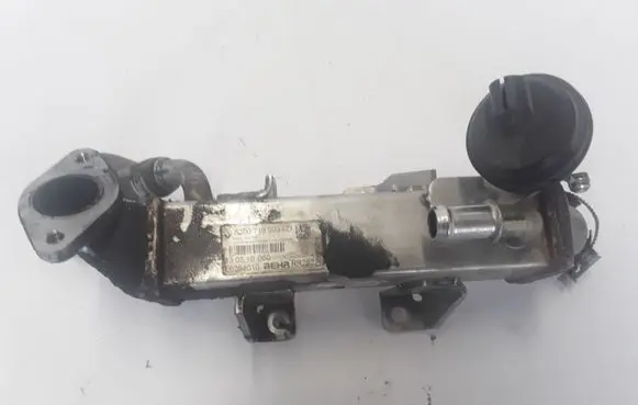Renault Latitude (L70) EGR valve cooler 8200719993