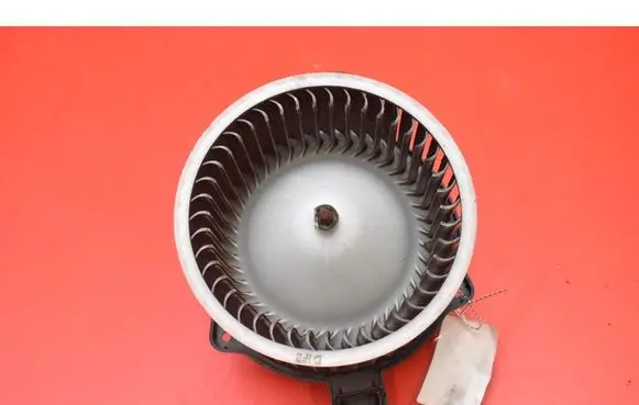 Hyundai Santa Fe Heater fan/blower F00S33F011