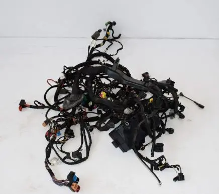 Audi Q5 SQ5 Other wiring loom 8F001303