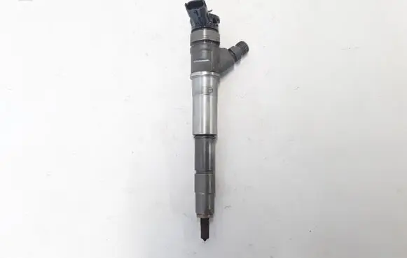Renault Koleos II Fuel injector 0445110728