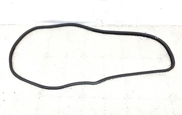 BMW X6 E71 Rubber seal front door (on door) 