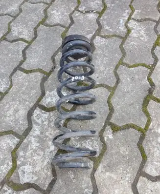 Rear coil spring