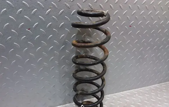 Skoda Roomster (5J) Rear shock absorber/damper