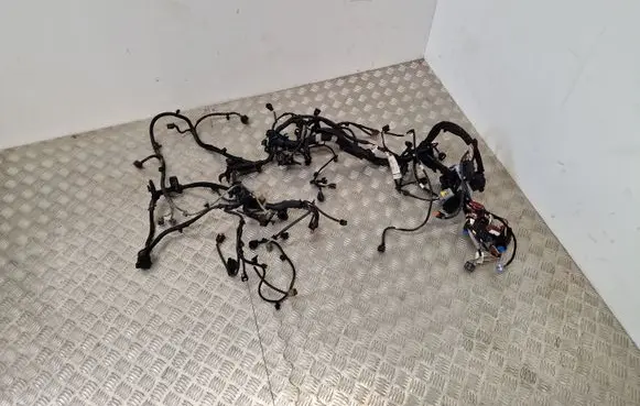 Other wiring loom