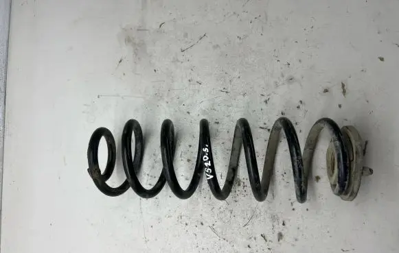 Volkswagen PASSAT B6 Rear coil spring