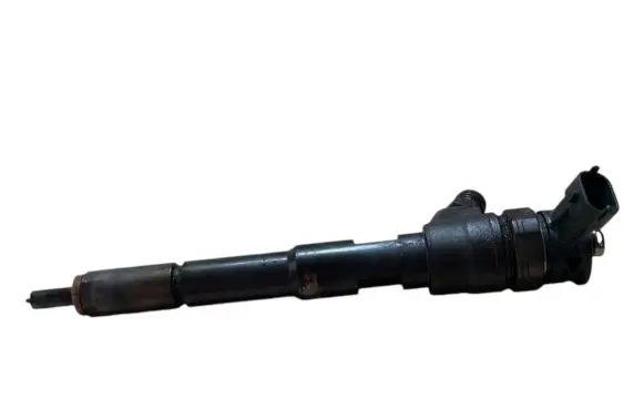 Renault Kangoo II Fuel injector 0445110485 H8201108033