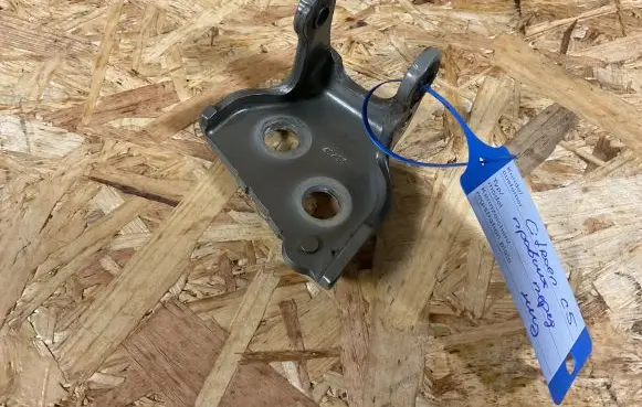 Citroen C5 Front door lower hinge 