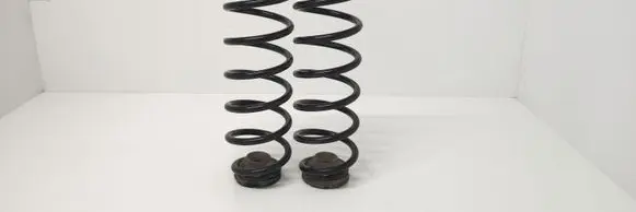 Skoda Roomster (5J) Rear coil spring