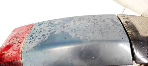 Rear/tail light trim molding