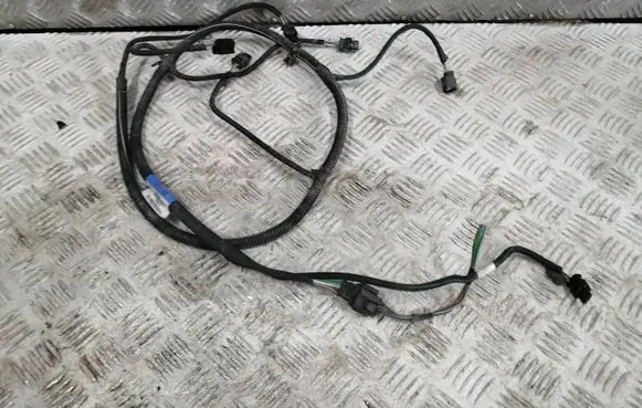 Renault Laguna III Parking sensor (PDC) wiring loom 240150030R 55RJV1834