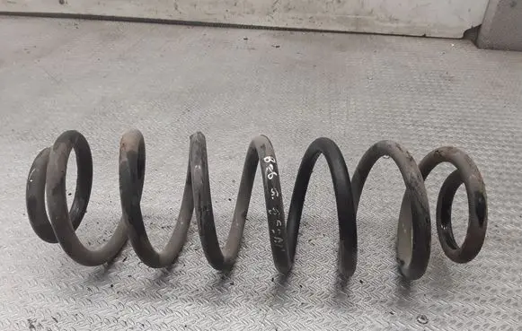 Rear coil spring