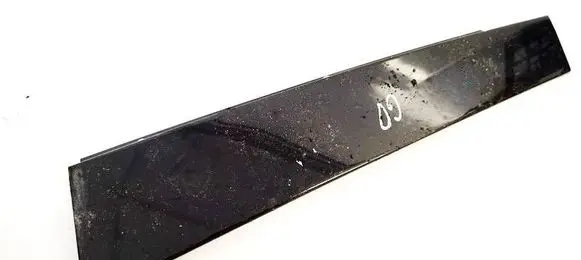 Volvo XC60 Rear door glass trim molding 31294841