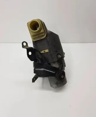 Renault Laguna III Power steering pump 491108342R