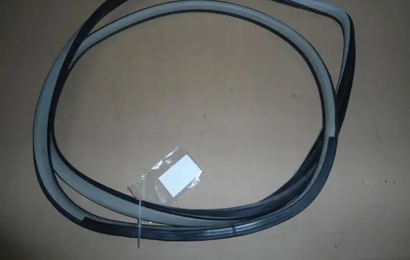 Infiniti G35 Rubber seal rear door 